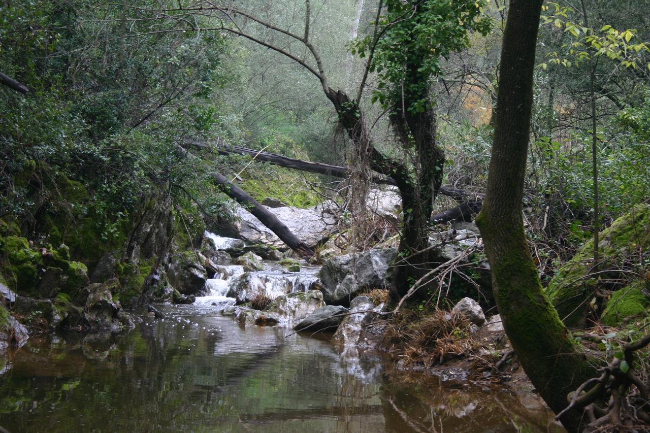 Camping La Brena Otel Almodóvar del Río Dış mekan fotoğraf