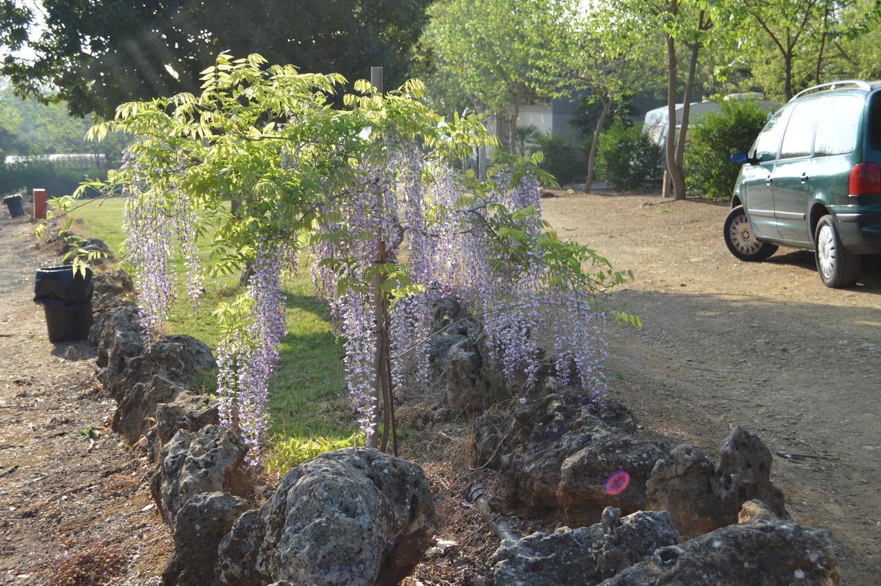 Camping La Brena Otel Almodóvar del Río Dış mekan fotoğraf