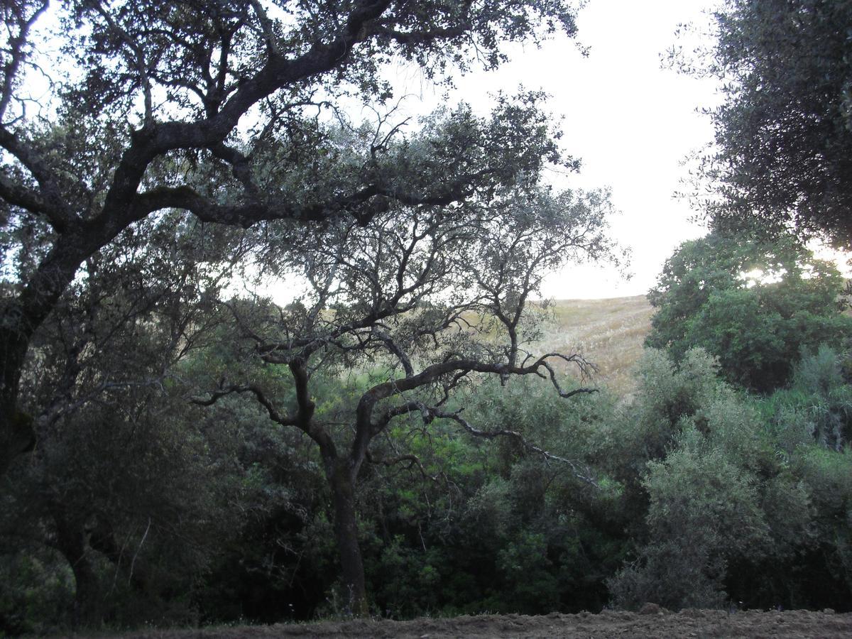 Camping La Brena Otel Almodóvar del Río Dış mekan fotoğraf